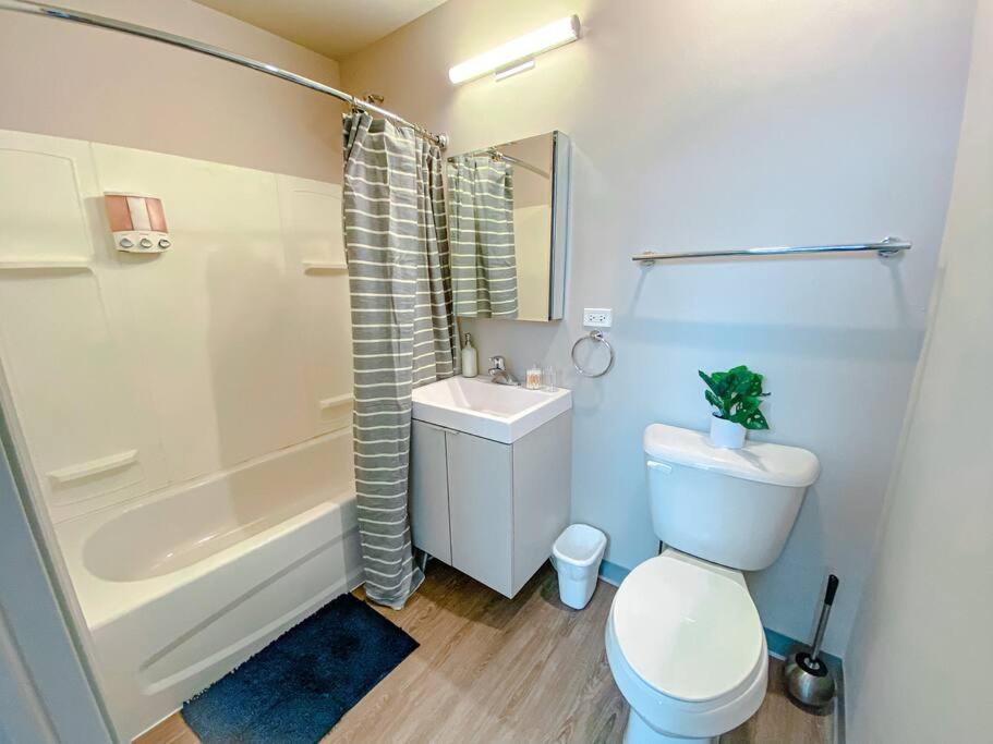 Modern 2Br In South Loop Near Soldier Field, Grant Park, Downtown, & Lakefront Trail Chicago Eksteriør billede